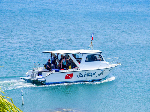 Roatan mr bud Diving Trip Tickets
