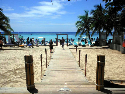 Roatan Honduras Suspension Bridges Cruise Excursion Booking