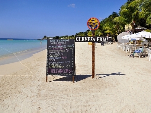 Roatan Honduras Suspension Bridges Excursion Reservations