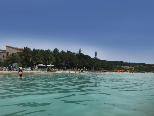Roatan Honduras Suspension Bridges Tour Booking