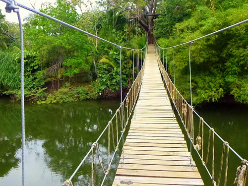 Roatan Honduras Suspension Bridges Trip Cost