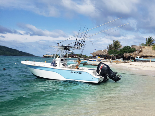 Roatan  Honduras swimming Boat Cruise Excursion Prices