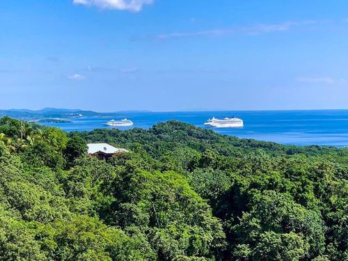Roatan Honduras Swimming Excursion Booking