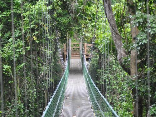 Roatan Honduras  Trip Prices