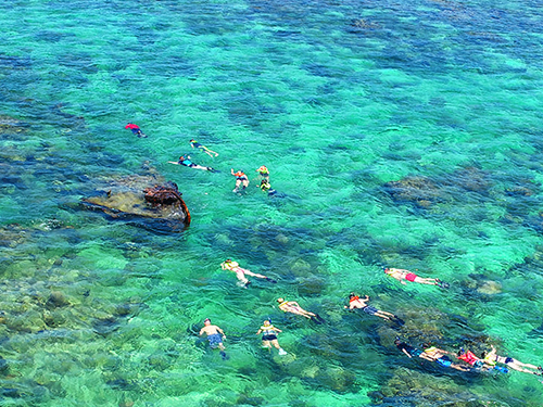 Roatan Honduras Bananarama Resort Adventure Trip Prices