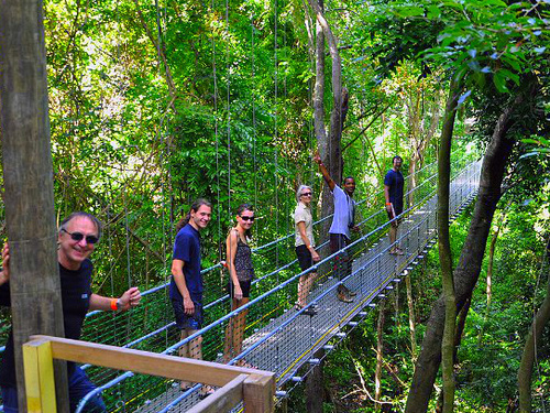 Roatan Jungle Canopy Zipline Shore Excursion Reviews