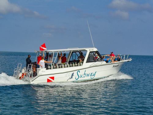 Roatan Learn to Dive Shore Excursion Prices
