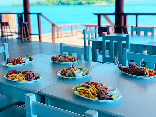 Roatan sloth Cruise Excursion Prices