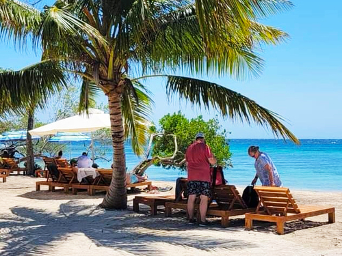 Roatan monkey Trip Prices