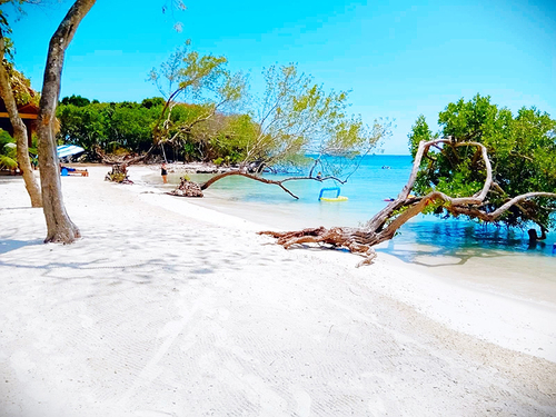 Roatan monkey Shore Excursion Cost