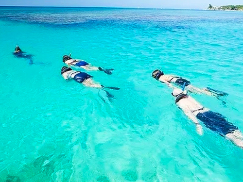 Roatan snorkel Trip Prices