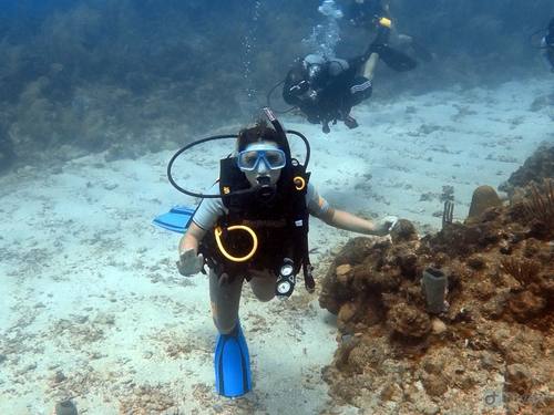 Roatan marys place Diving Trip Reservations