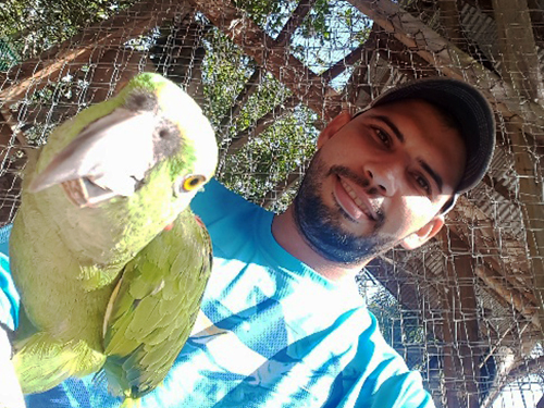 Roatan Parrots Trip Booking