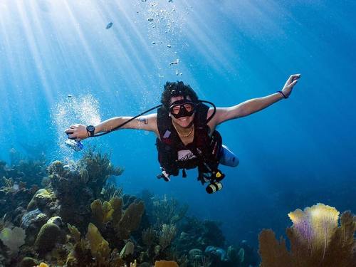 Roatan Honduras Certified Diving Cruise Excursion Cost