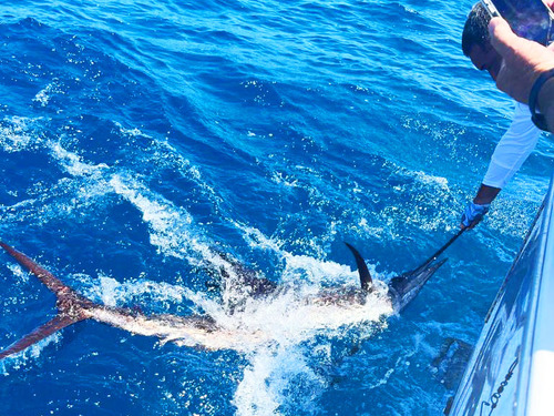 Roatan fishing charter Excursion Reservations