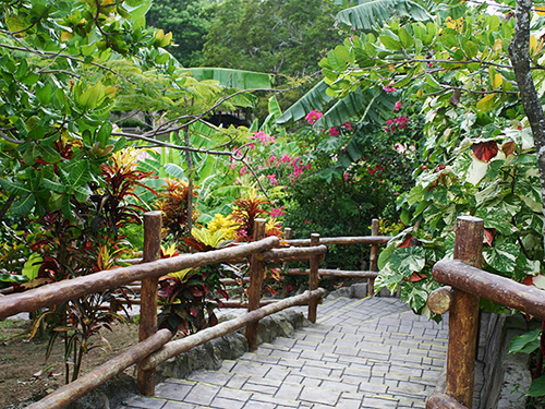 Roatan Flora and Fauna Shore Excursion Prices