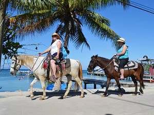 Roatan Sightseeing, Shopping and Jungle Horseback Riding Excursion
