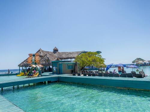 Roatan Sloth Farm and Little French Key Island Beach Excursion with Round-Trip Transport