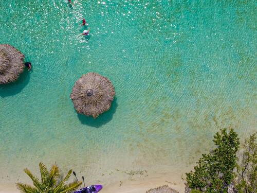 Roatan Sloth Farm and Little French Key Island Beach Excursion with Round-Trip Transport