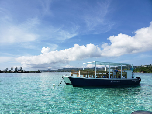 Roatan Parrot Tree Plantation Shore Excursion Reservations