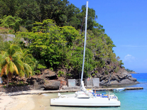 Roatan Snorkeling Snorkel Shore Excursion Reviews