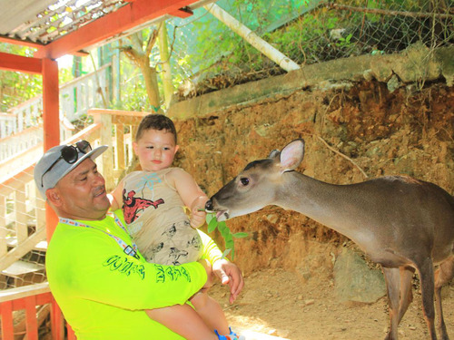 Roatan Tiki Boat Catamaran Adventure Excursion