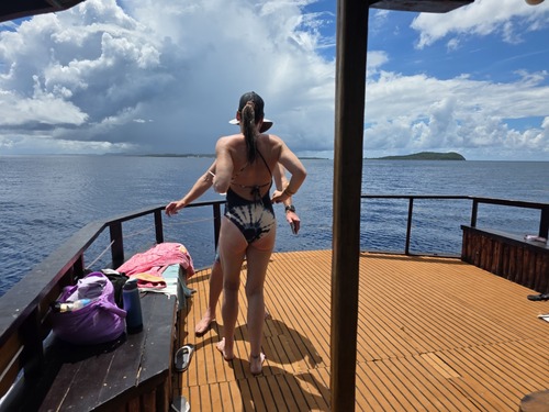 Roatan Tiki Boat Catamaran Adventure Excursion