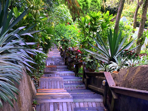 Roatan  Trip Reviews