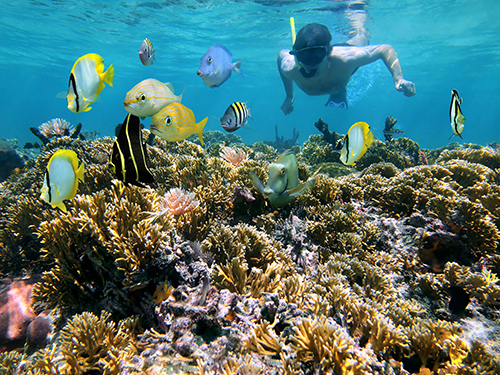 Roatan Family Adventure Shore Excursion Booking