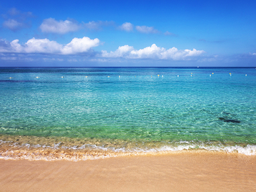 Roatan Honduras Bananarama Resort Adventure Excursion Booking