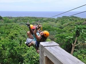 Roatan Zip Line, Island Highlights and West Bay Beach Excursion