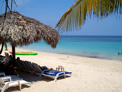 Roatan zipline and beach Cruise Excursion Reviews