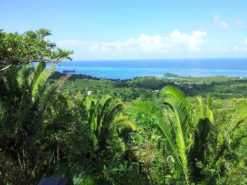 Roatan Zip Line, Island Highlights and West Bay Beach Excursion