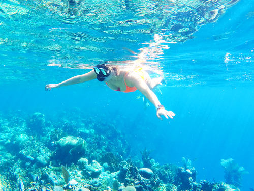 Roatan Beach Break Excursion Booking