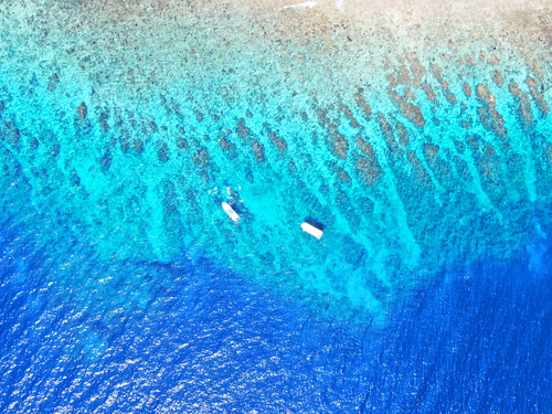 Roatan  Honduras Snorkeling Excursion Trip Reservations