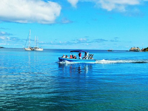 Roatan Zipline Park, Iguana Farm, Reef Snorkel, and Beach Excursion Combo