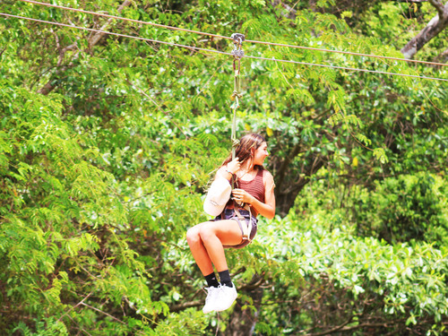 Roatan Zipline Park, Monkey/Sloth Sanctuary, Reef Snorkel, and Beach Excursion Combo