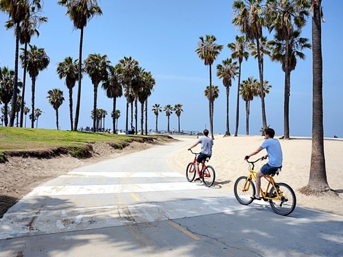 Los Angeles  California Sightseeing Shore Excursion Tickets