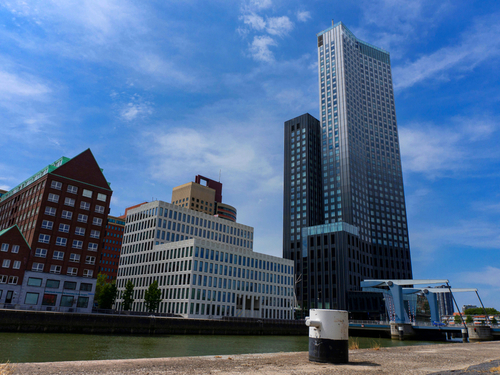 Rotterdam Cruise Terminal Shore Excursion Cost