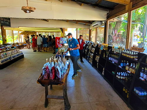 Roatan submarine Shore Excursion Prices