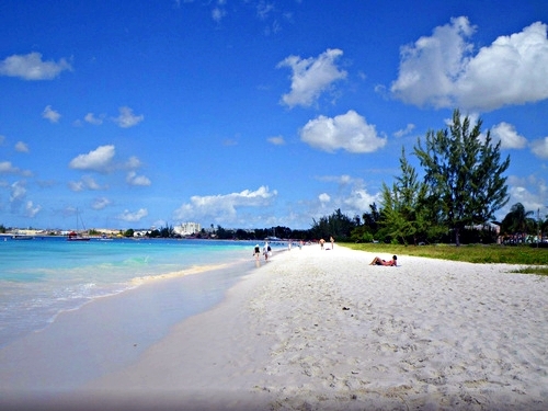 Barbados rum and beach Cruise Excursion Reviews