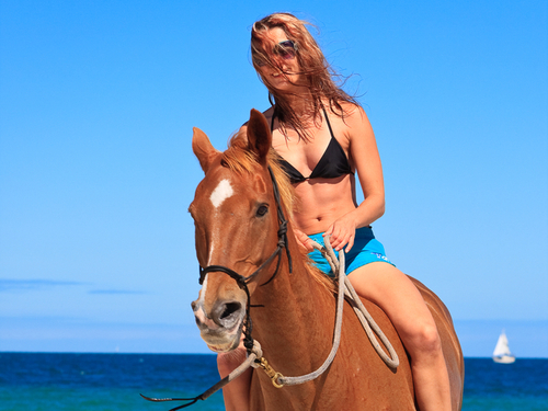 Cozumel Mexico beach horse ride Shore Excursion Reviews