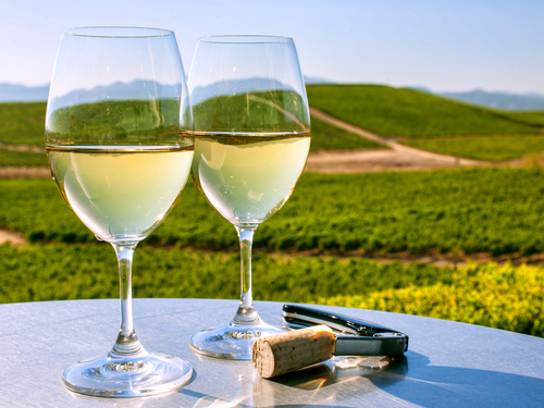 San Francisco winery sightseeing Shore Excursion Cost