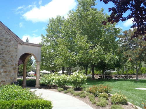 San Francisco winery sightseeing Excursion Reservations