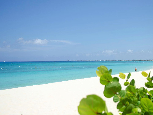 Grand Cayman heroes square Trip Reviews