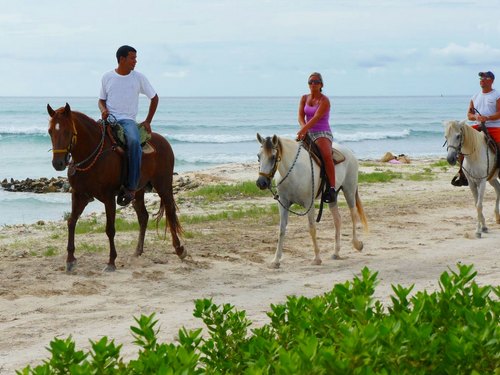 Aruba Horseback Riding Excursion Excursions Aruba Horseback Riding Trip