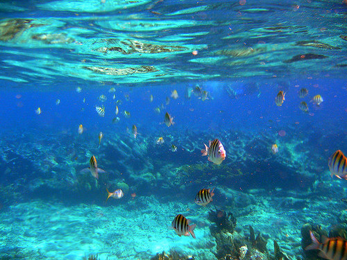 Nassau Bahamas Beach Day Pass Tour Tickets