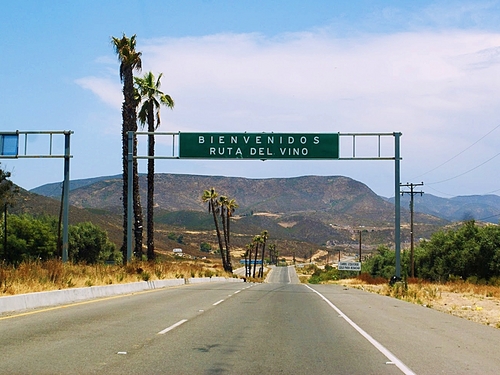 Ensenada Mexico vineyard Reservations
