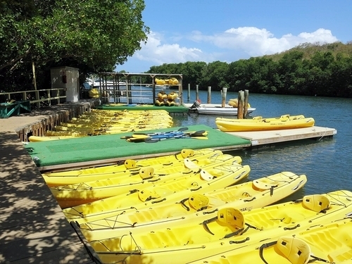 Virgin Islands mangrove kayak Cruise Excursion Tickets