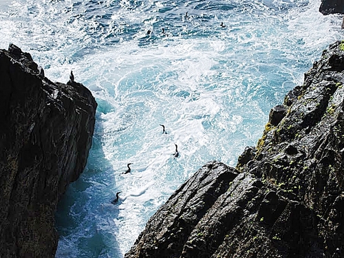 Ensenada Mexico blowhole Cruise Excursion